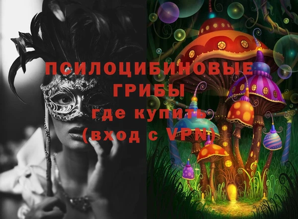 стафф Алексин