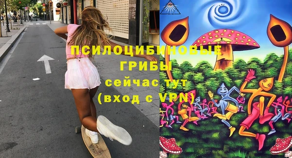 стафф Алексин