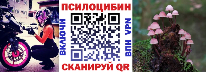 Псилоцибиновые грибы ЛСД  Новотитаровская 